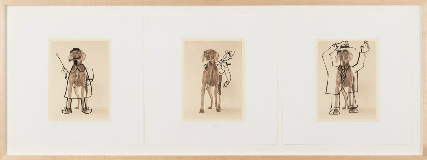 "Hats" by William Wegman